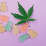 CBD Gummies for Anxiety: How to Find the Right Dose